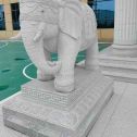 鹰潭 白麻花岗岩动物异形石雕-大象