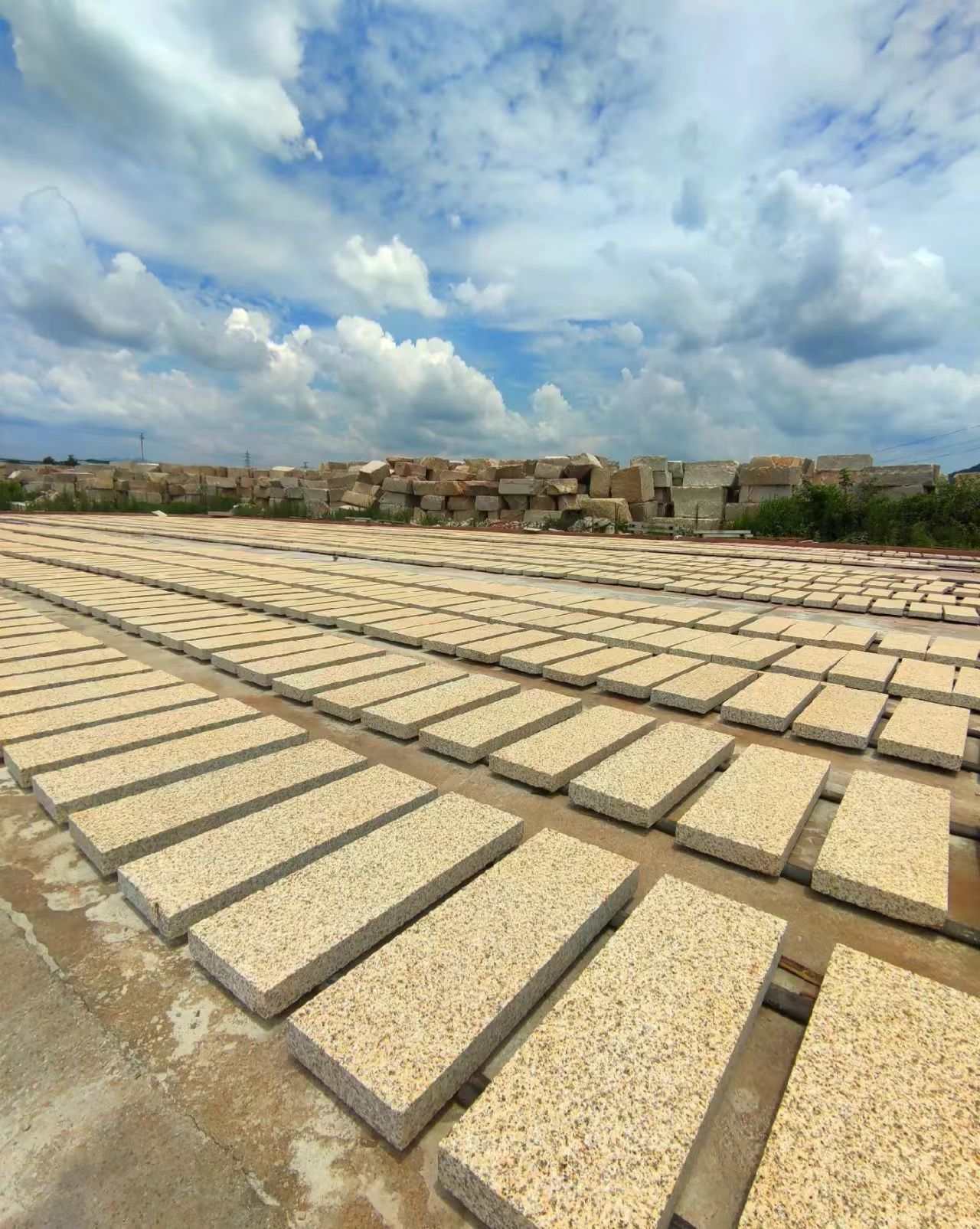 鹰潭 黄金麻花岗岩荔枝面地铺石防护中